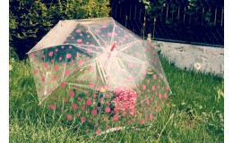 Deštník s růžovým puntíkem průhledný